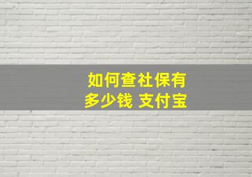 如何查社保有多少钱 支付宝